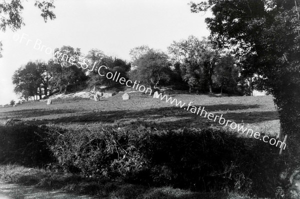 NEWGRANGE TUMULUS FROM S.E.